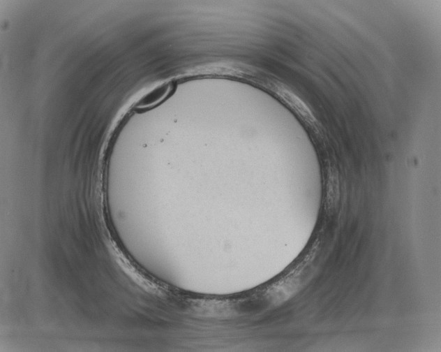 X0000083560800200702231602