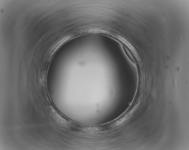 X0000083560801200702231602