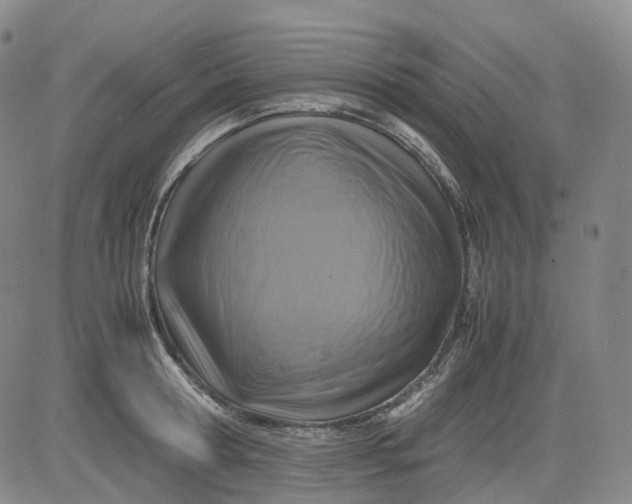 X0000083560802200702231602