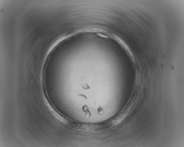 X0000083560803200702231602