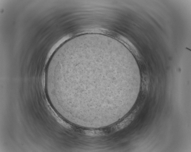 X0000083560804200702231602