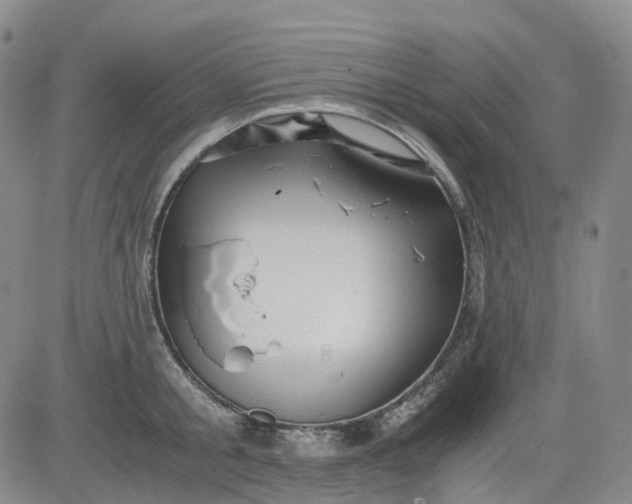 X0000083560805200702231602