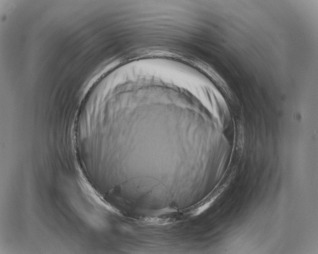 X0000083560806200702231602