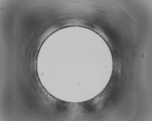 X0000083560807200702231602