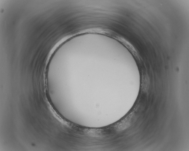 X0000083560808200702231602