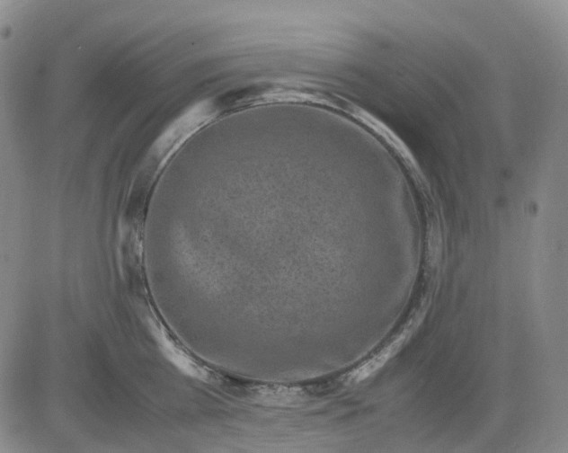 X0000083560809200702231602