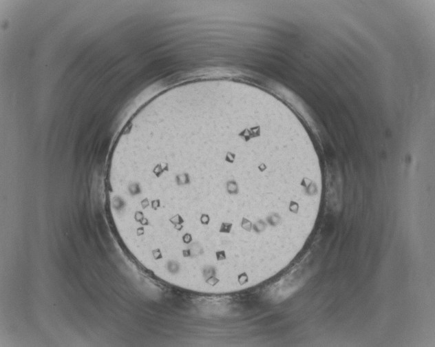 X0000083560810200702231602