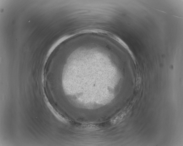 X0000083560811200702231602