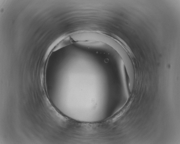 X0000083560812200702231602