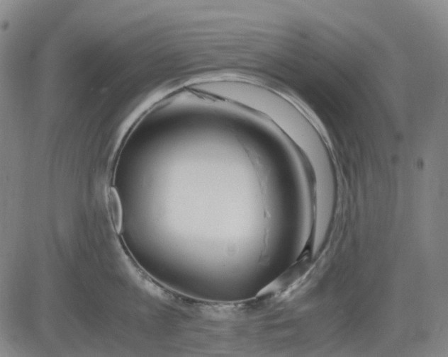 X0000083560813200702231602