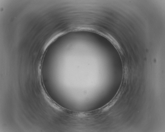 X0000083560814200702231602