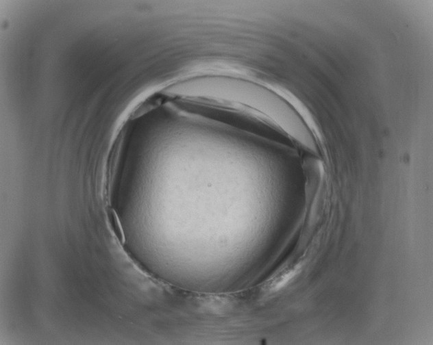 X0000083560815200702231602