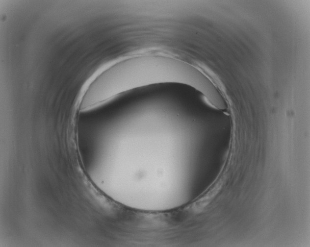 X0000083560816200702231602