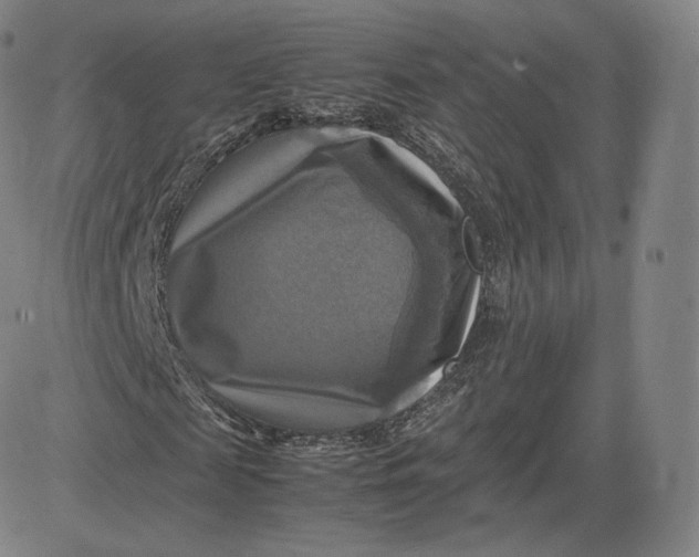 X0000083560817200702231601