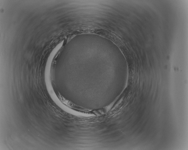 X0000083560818200702231601