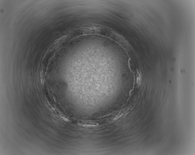 X0000083560819200702231601