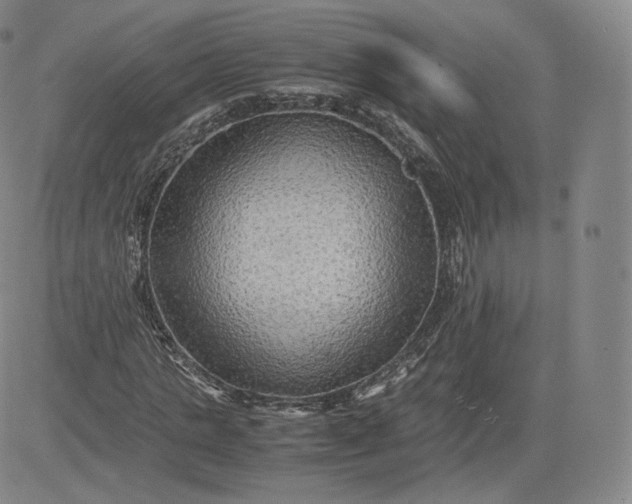 X0000083560821200702231601