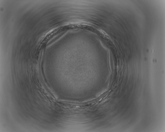 X0000083560822200702231601