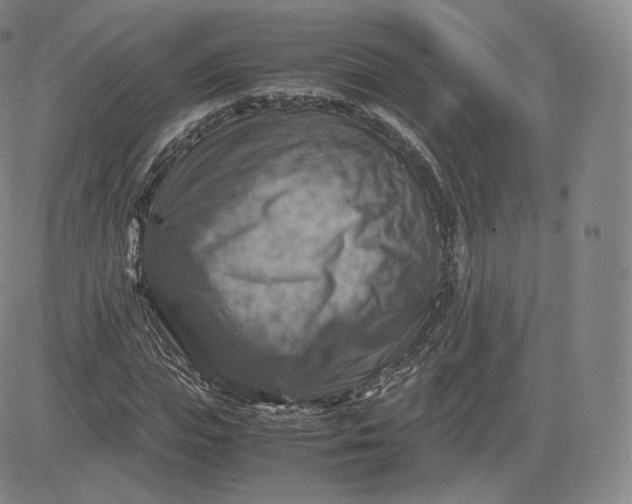 X0000083560823200702231601