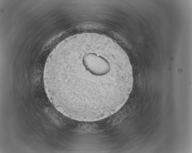 X0000083560824200702231601