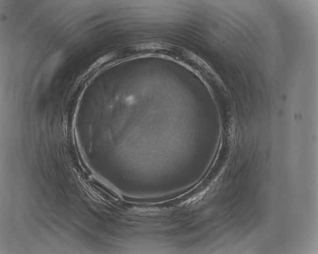 X0000083560825200702231601