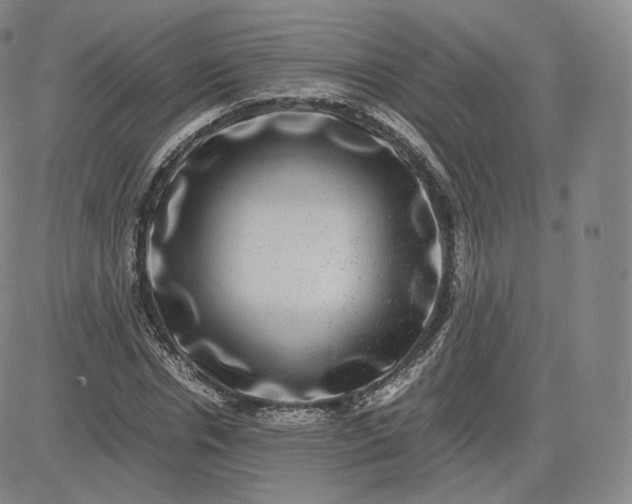 X0000083560826200702231601