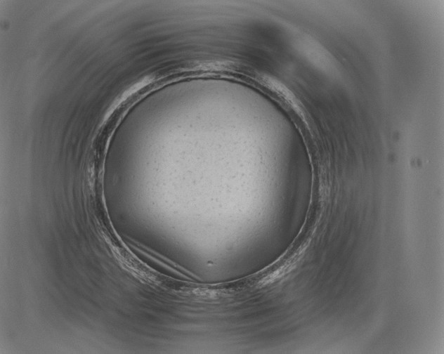 X0000083560827200702231601