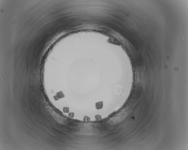 X0000083560828200702231601