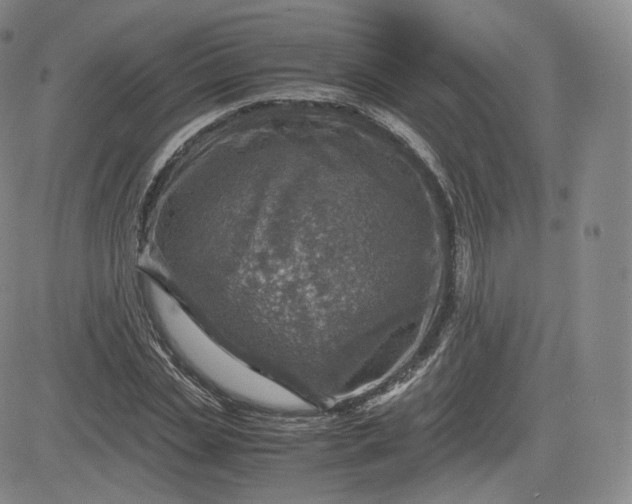 X0000083560829200702231601