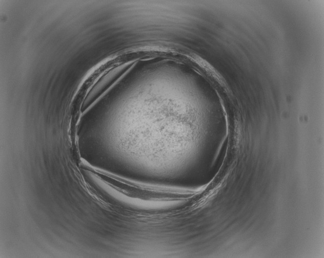 X0000083560830200702231601