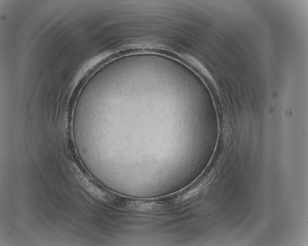 X0000083560831200702231601