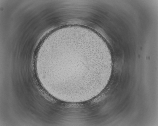 X0000083560832200702231601