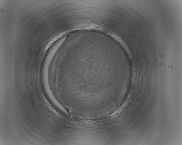 X0000083560834200702231601