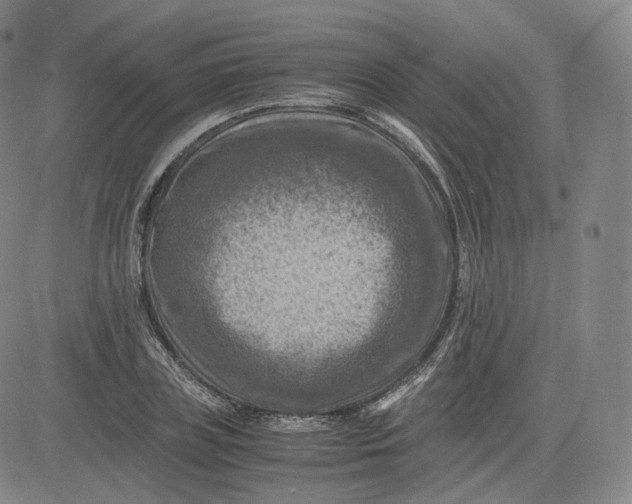 X0000083560835200702231601