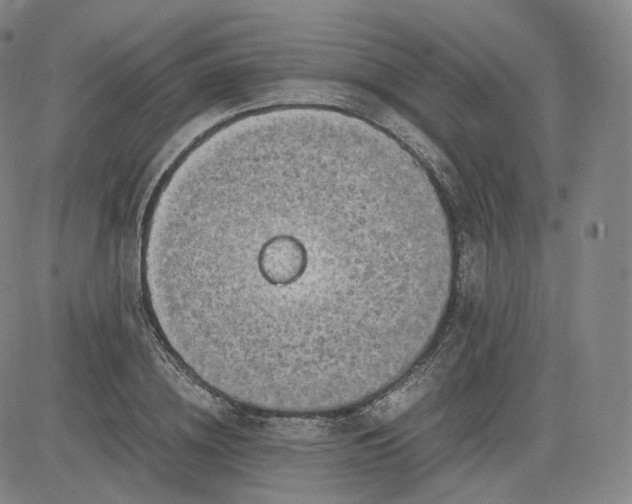 X0000083560836200702231601