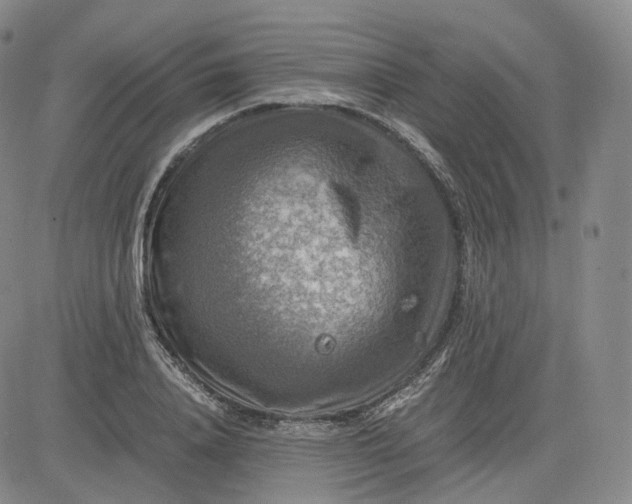 X0000083560840200702231601