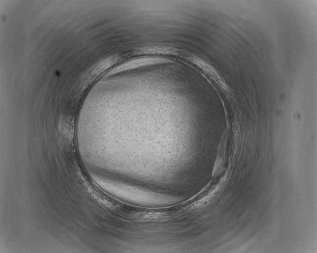 X0000083560841200702231601