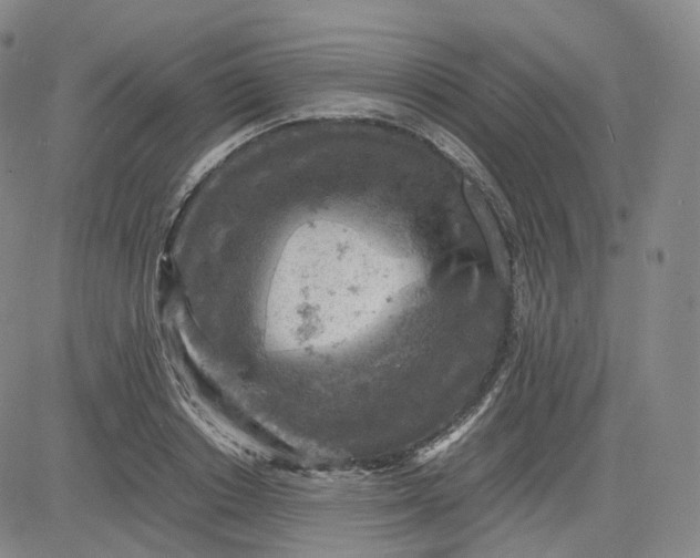 X0000083560842200702231601