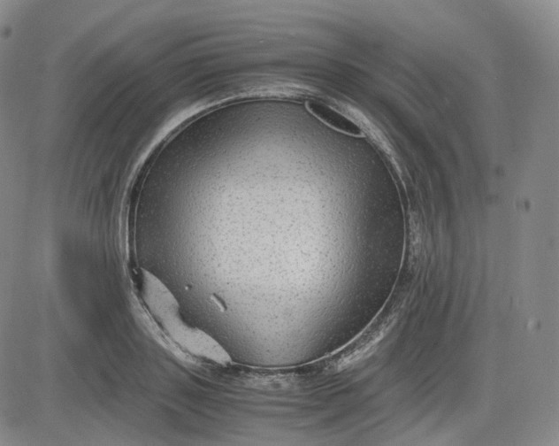 X0000083560843200702231601