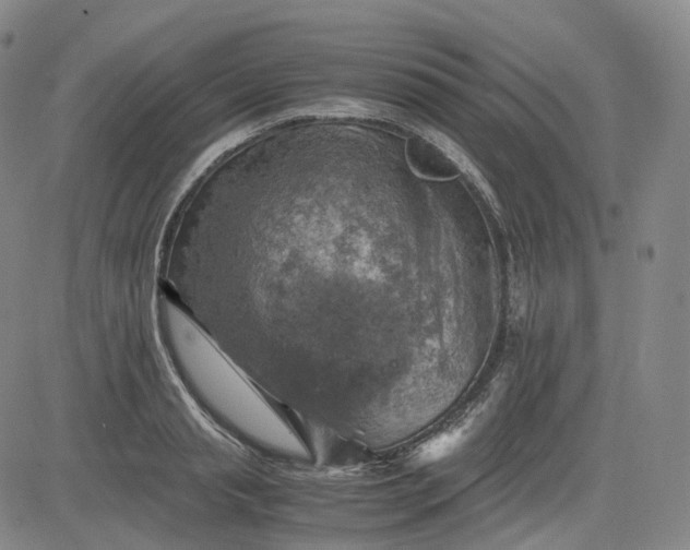 X0000083560845200702231601