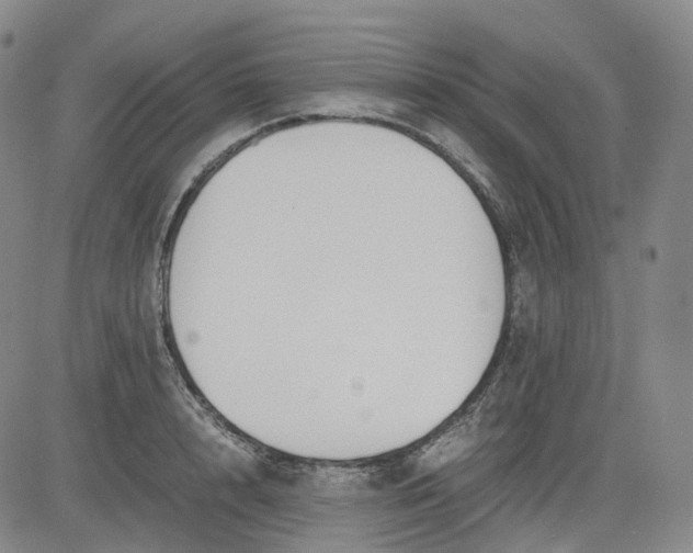 X0000083560848200702231601