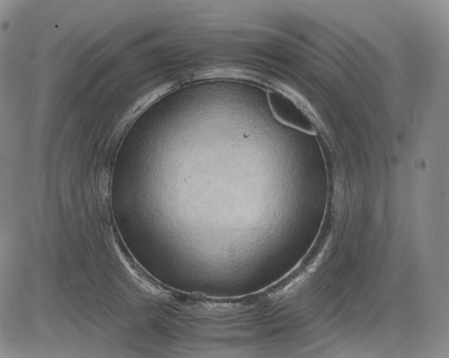 X0000083560849200702231601