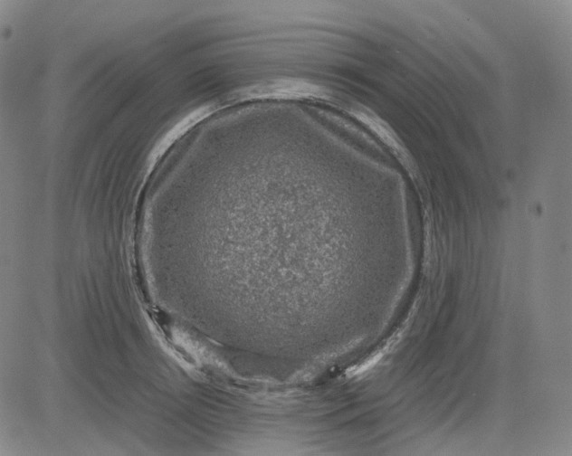 X0000083560850200702231601