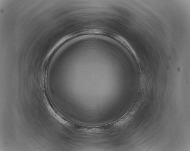 X0000083560851200702231601