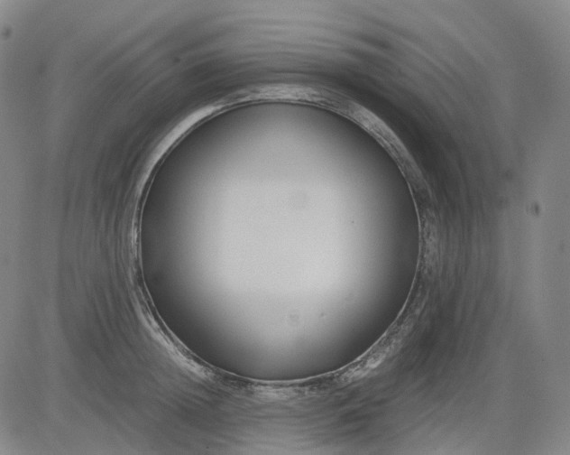 X0000083560852200702231601