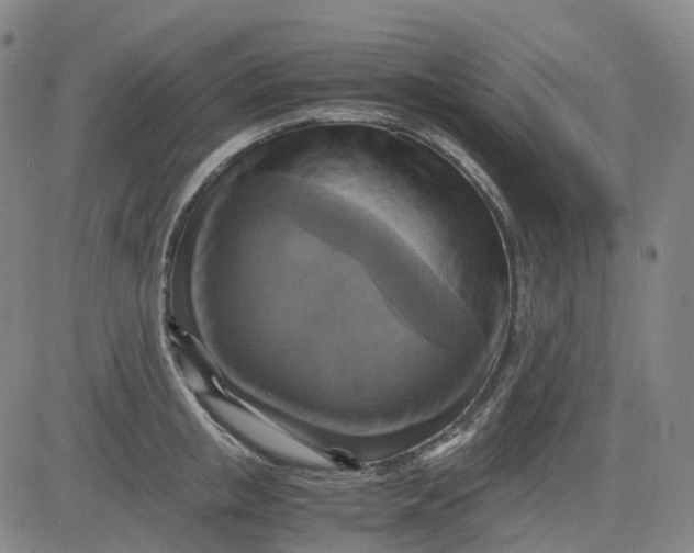 X0000083560853200702231601