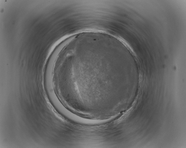 X0000083560854200702231601