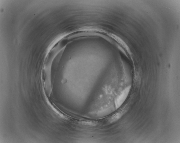 X0000083560855200702231601