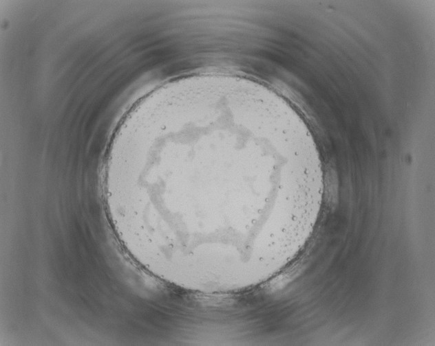 X0000083560856200702231601