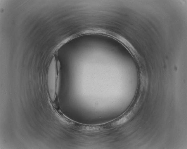 X0000083560857200702231601